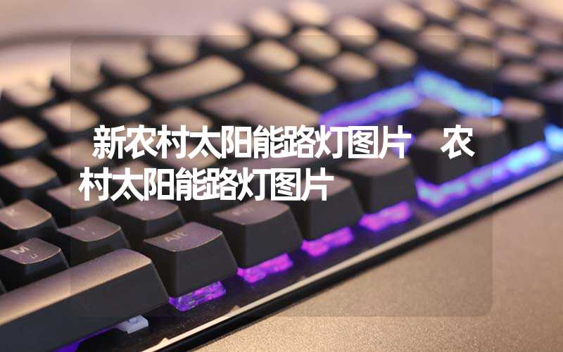 新农村太阳能路灯图片 农村太阳能路灯图片